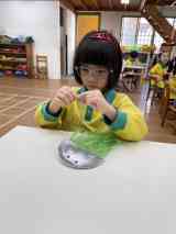 260327藝術~小水母