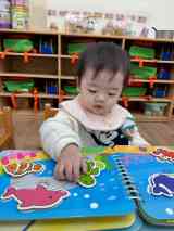 260106認知-動物配合