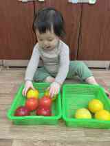 251223認知-分類遊戲