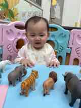 251201認知-動物園