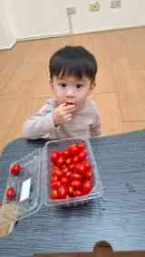 260304剝蕃茄、吃蕃茄