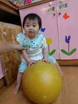 261013花生球